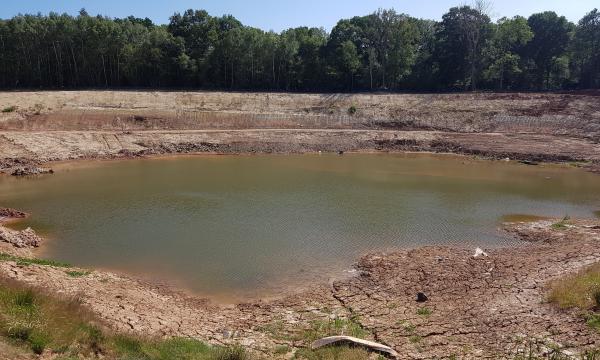 Quarry- Looking South