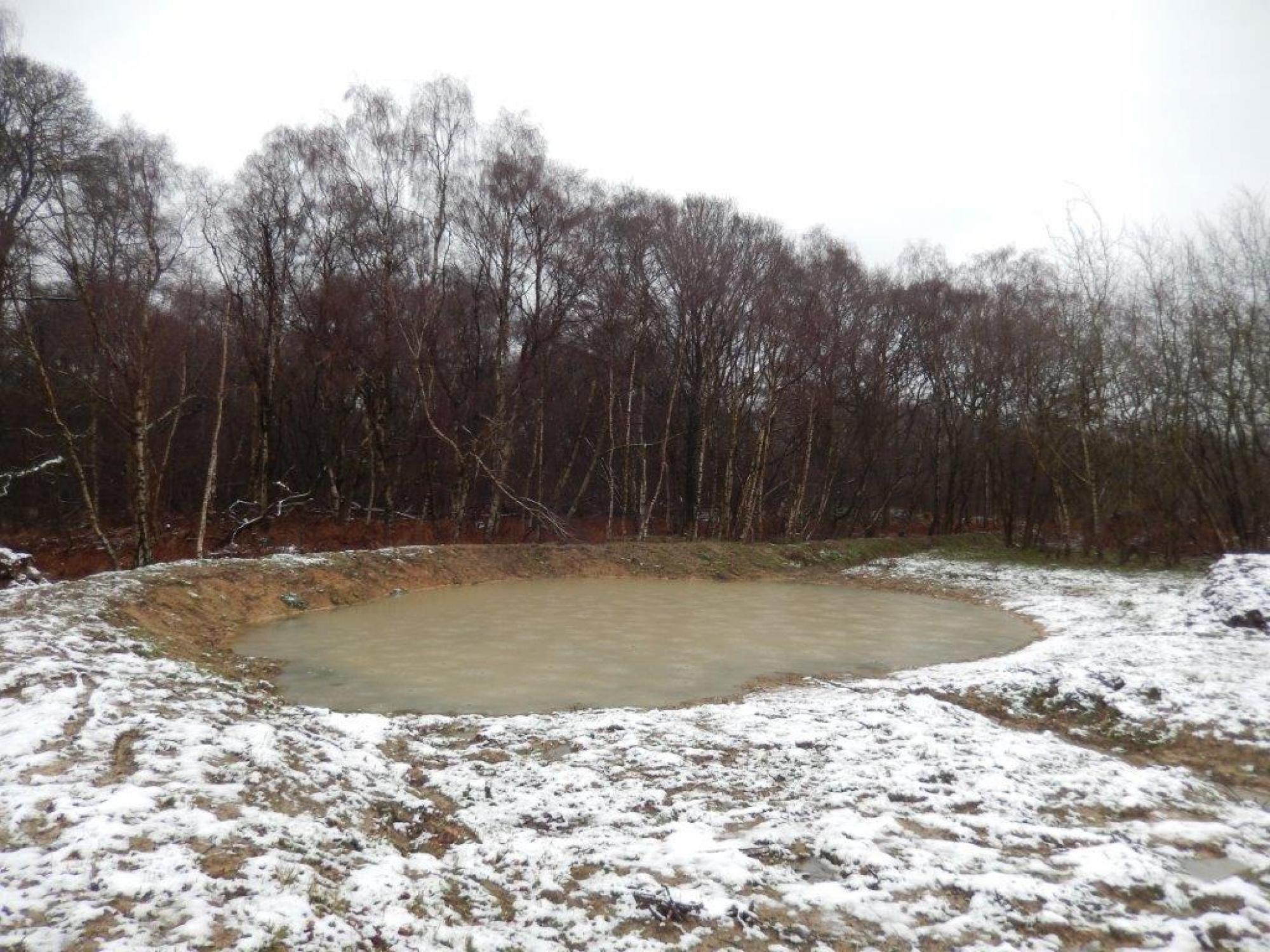 The recent cold weather caused almost an inch of ice to form on one of the mid-construction newt ponds