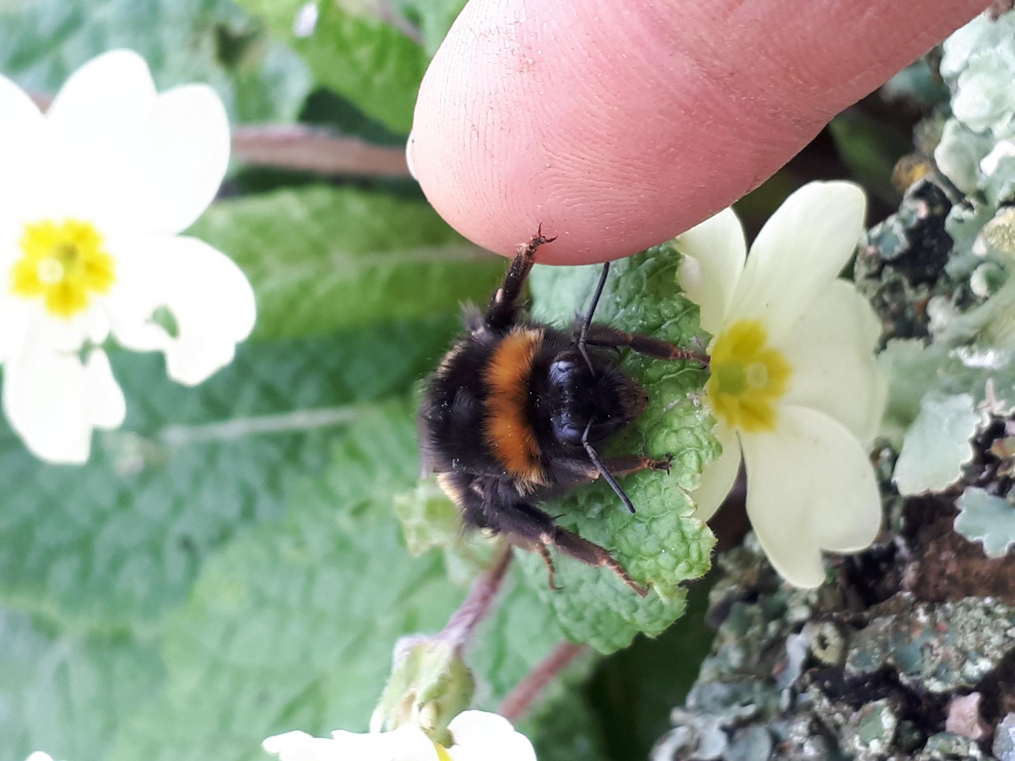 High Five its Spring